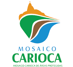 Mosaico Carioca