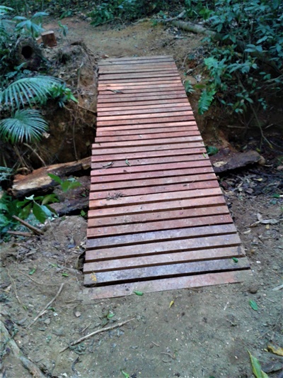 Ponte em madeira.