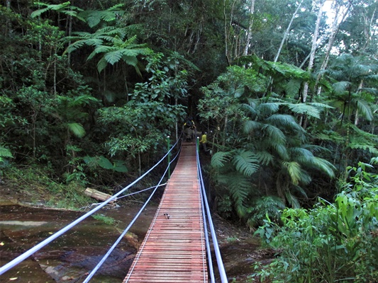 Conclusão de ponte pênsil.