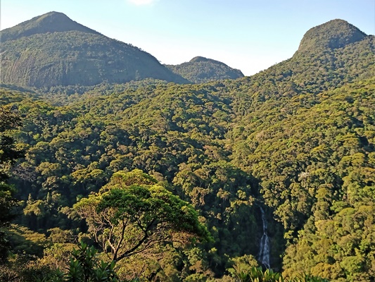 Vista do mirante da Cascatinha no setor floresta, parque nacional da Tijuca.