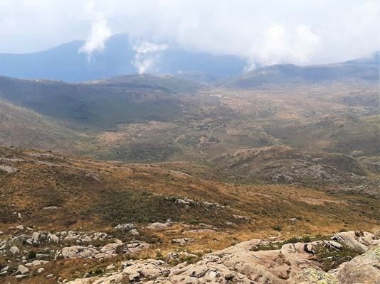 Manejo, combate e monitoramento - Parna Itatiaia.