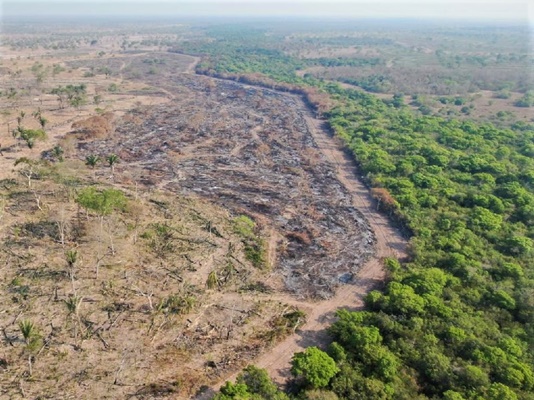 Apoio no combate aos incêndios do Pantanal.